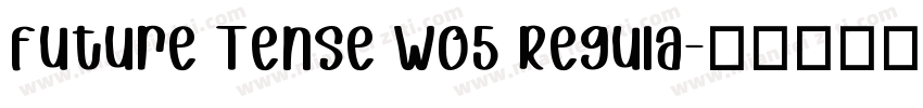 Future Tense W05 Regula字体转换